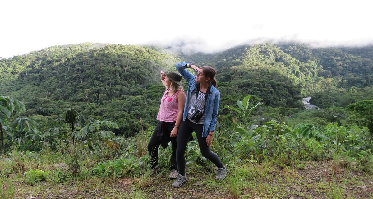 Expert Tips for Mastering Manu National Park Guide