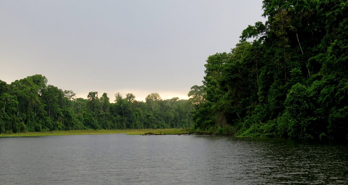 Manu Paradise Expedition 7 Days – 6 Nights