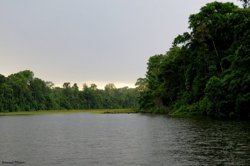 Manu Paradise Expedition 7 Days - 6 Nights