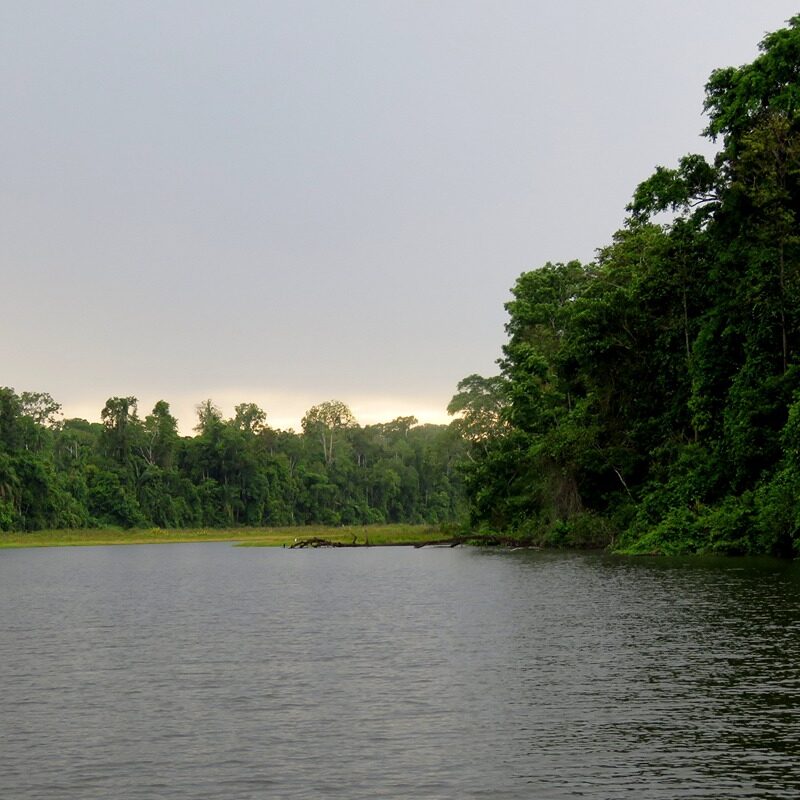 Manu Paradise Expedition 7 Days - 6 Nights